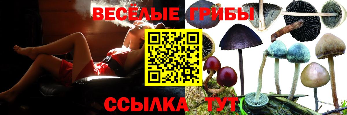 Псилоцибиновые грибы MAGIC MUSHROOMS  Вход с VPN  Галлюциногенные грибы мухоморы  Кызыл 