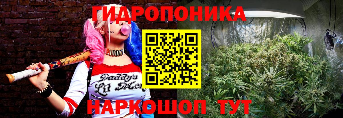 Кызыл  Шишки марихуана ГИДРОПОН  Вход с VPN  МАРИХУАНА LSD WEED  Шишки марихуана план 